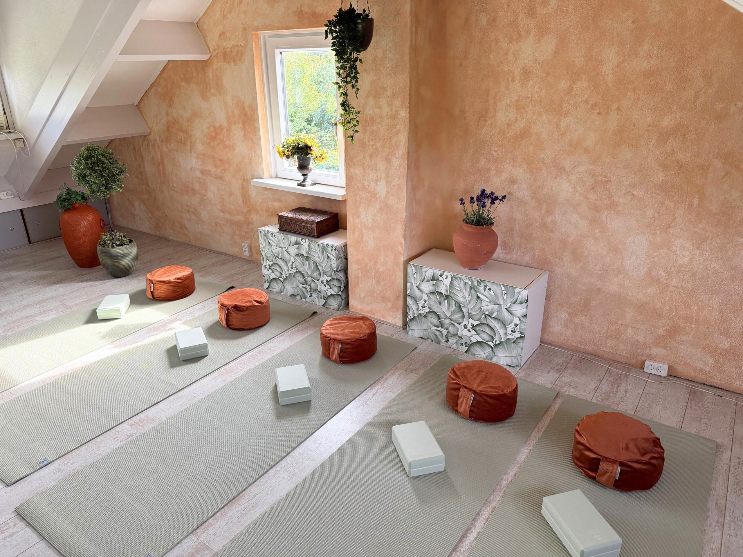 Mindfulness Stiltedag Breda 