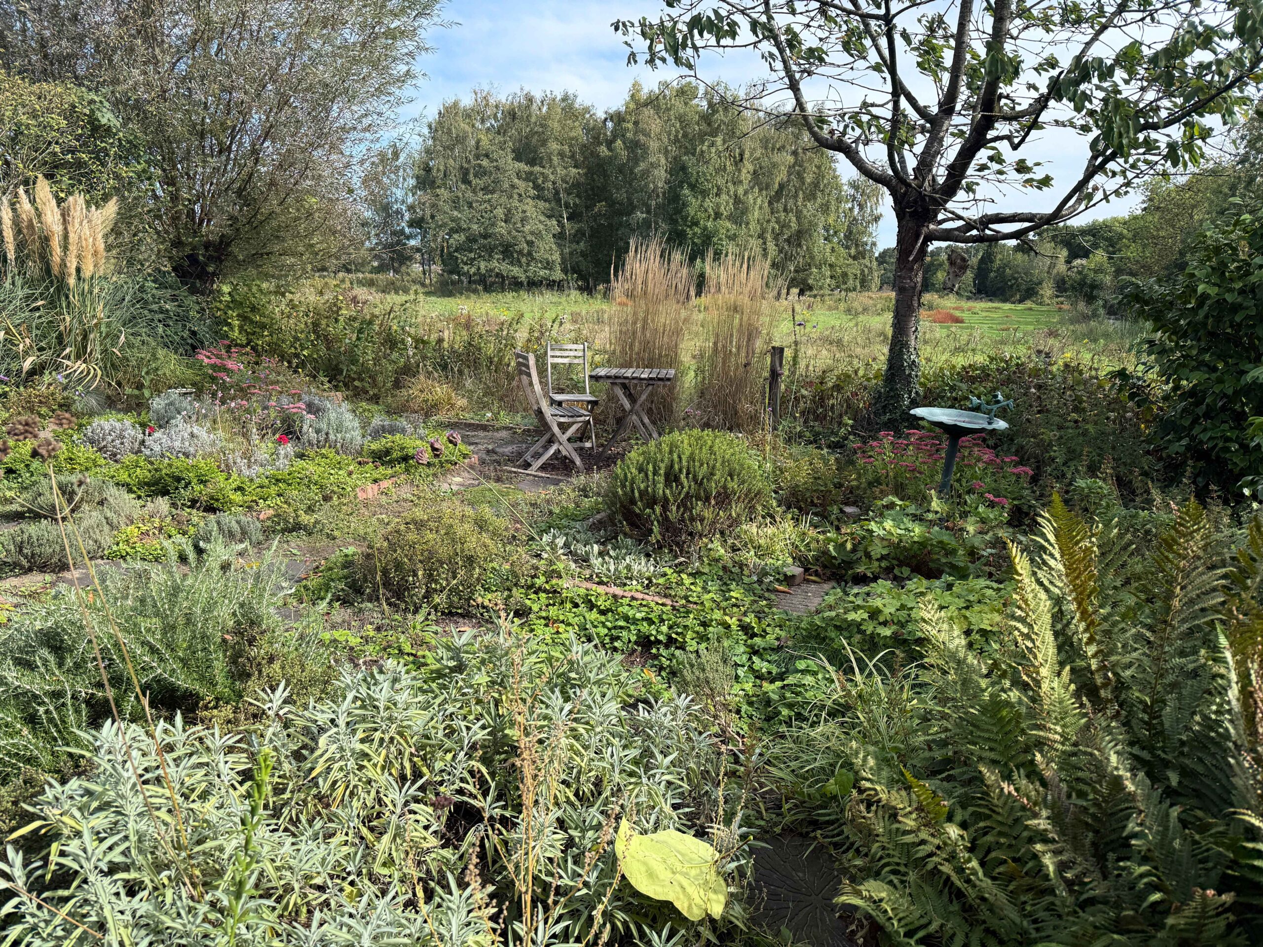 De tuin in Breda waar we met mooi weer op de stiltedag kunnen lunchen