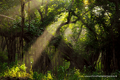 Mindfulness: anders omgaan met angst